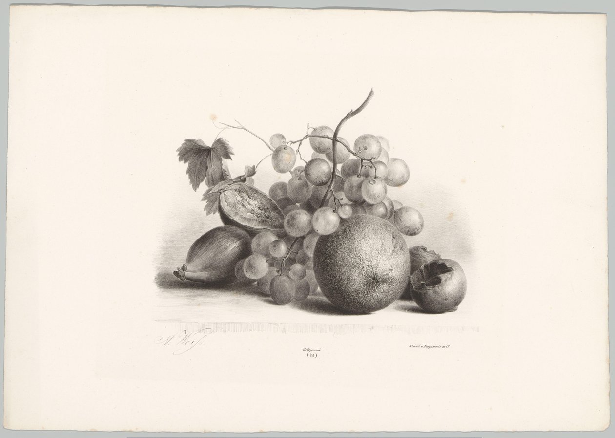 Figues, raisins et orange (Bloem en Fruit Studien, 10e aflevering) - Anton Weiss