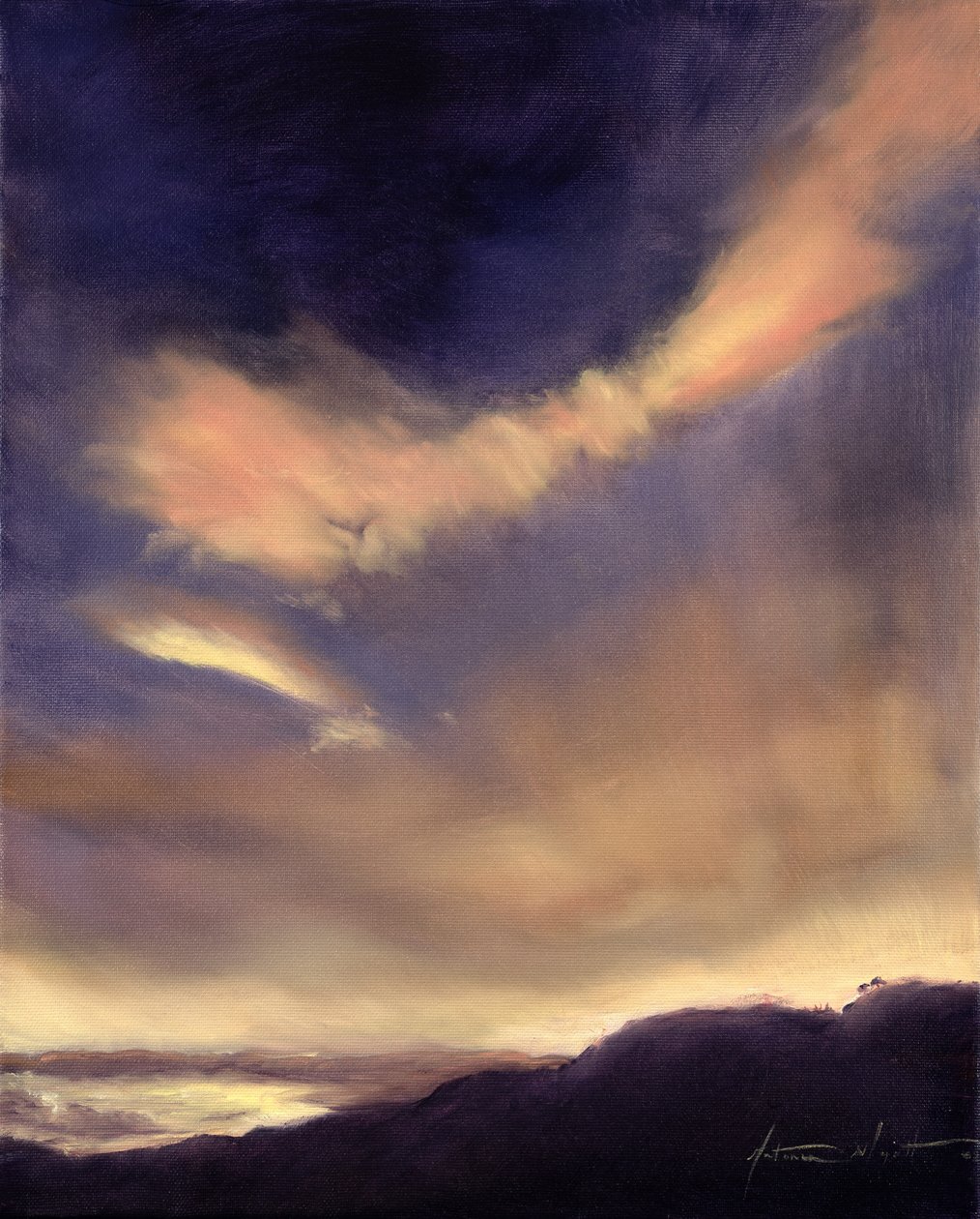 Nuages papillons, 2002 - Antonia Myatt