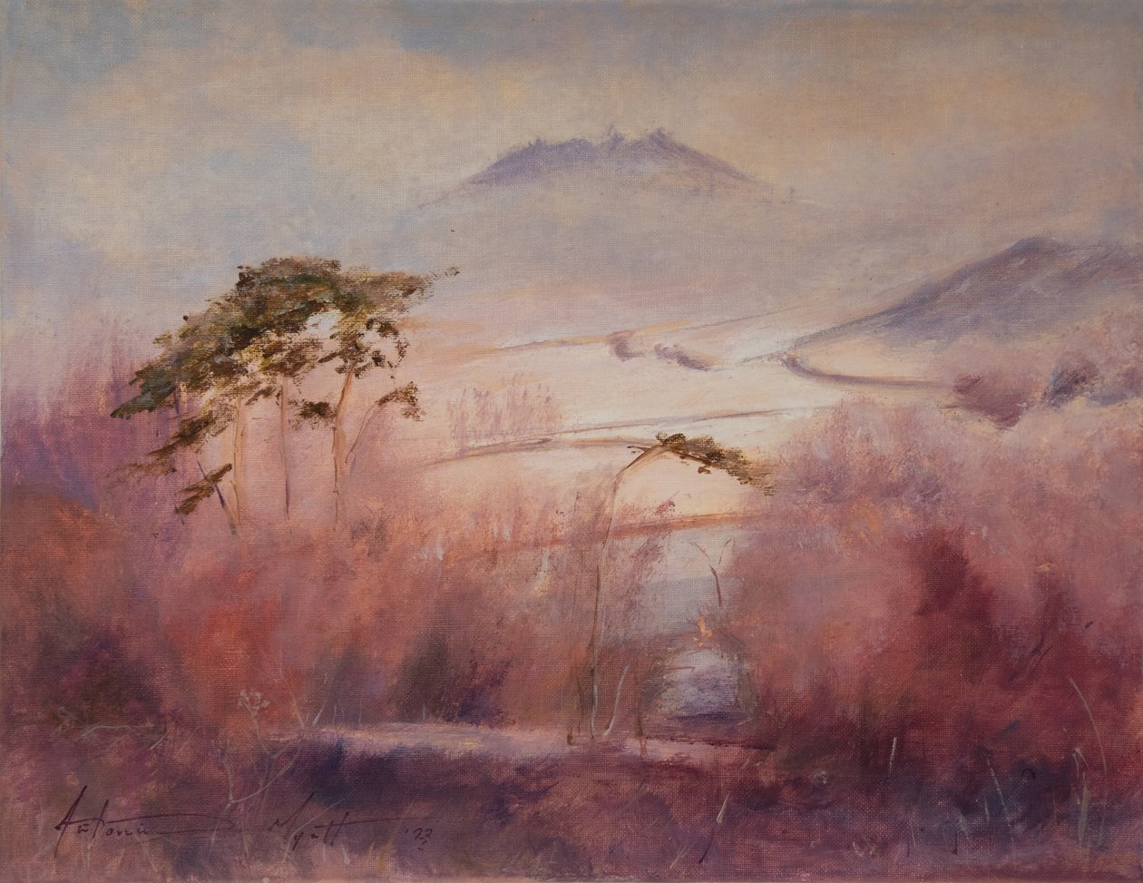 Vallée gelée, Somerset, 2023 - Antonia Myatt
