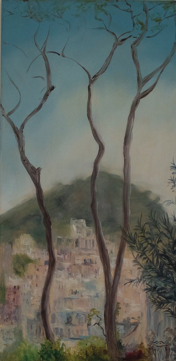 Arbres italiens, côte Amalfitaine, 2018 - Antonia Myatt