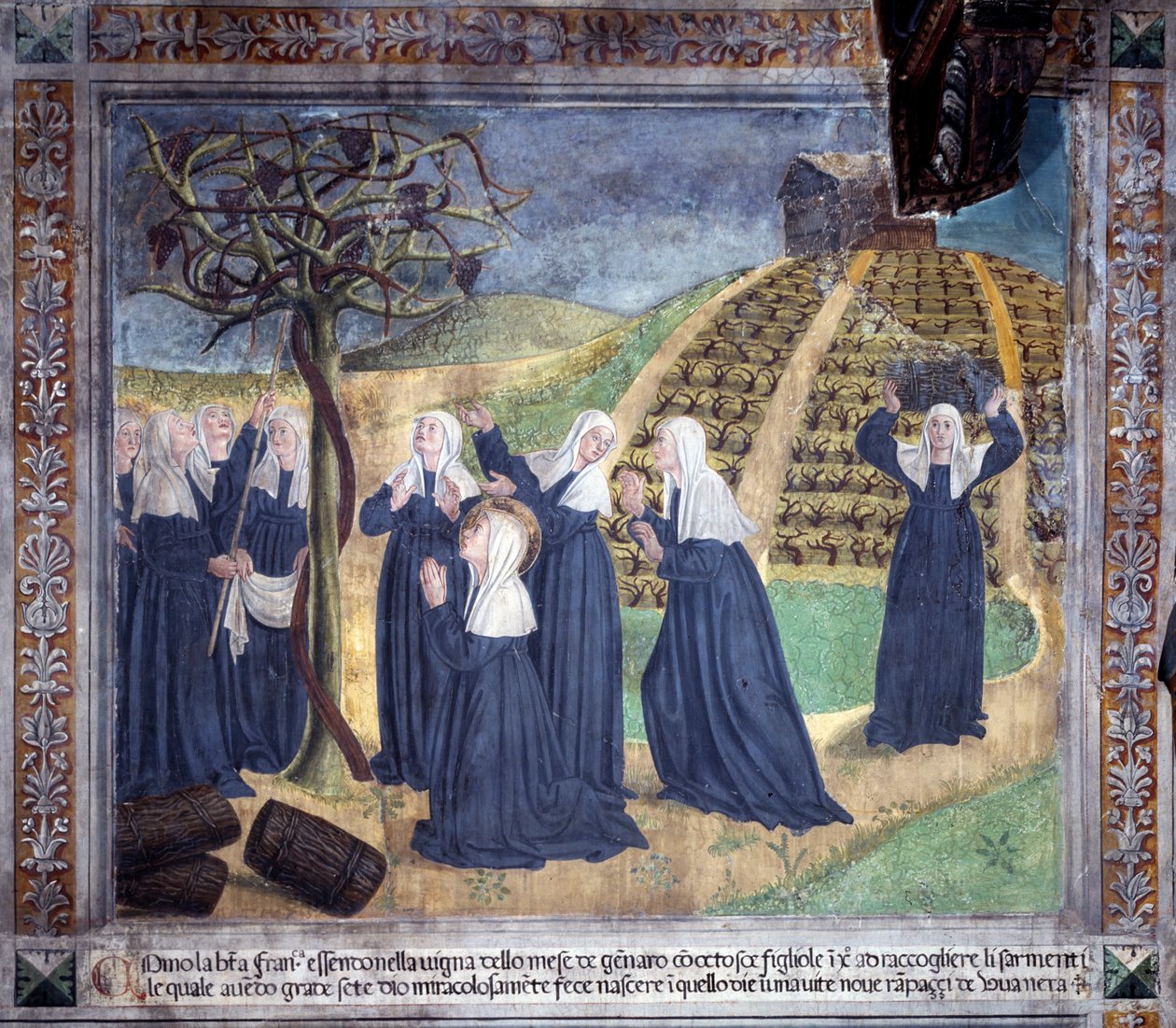 Vie de Sainte Françoise Romaine : la sainte entretenant la vigne avec les sœurs fait apparaître des raisins en janvier - Antoniazzo Romano