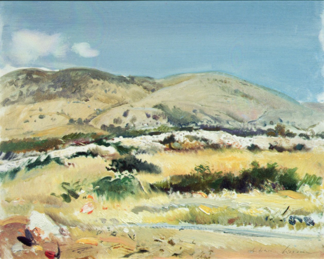 Gargano, 1981 - Antonio Ciccone