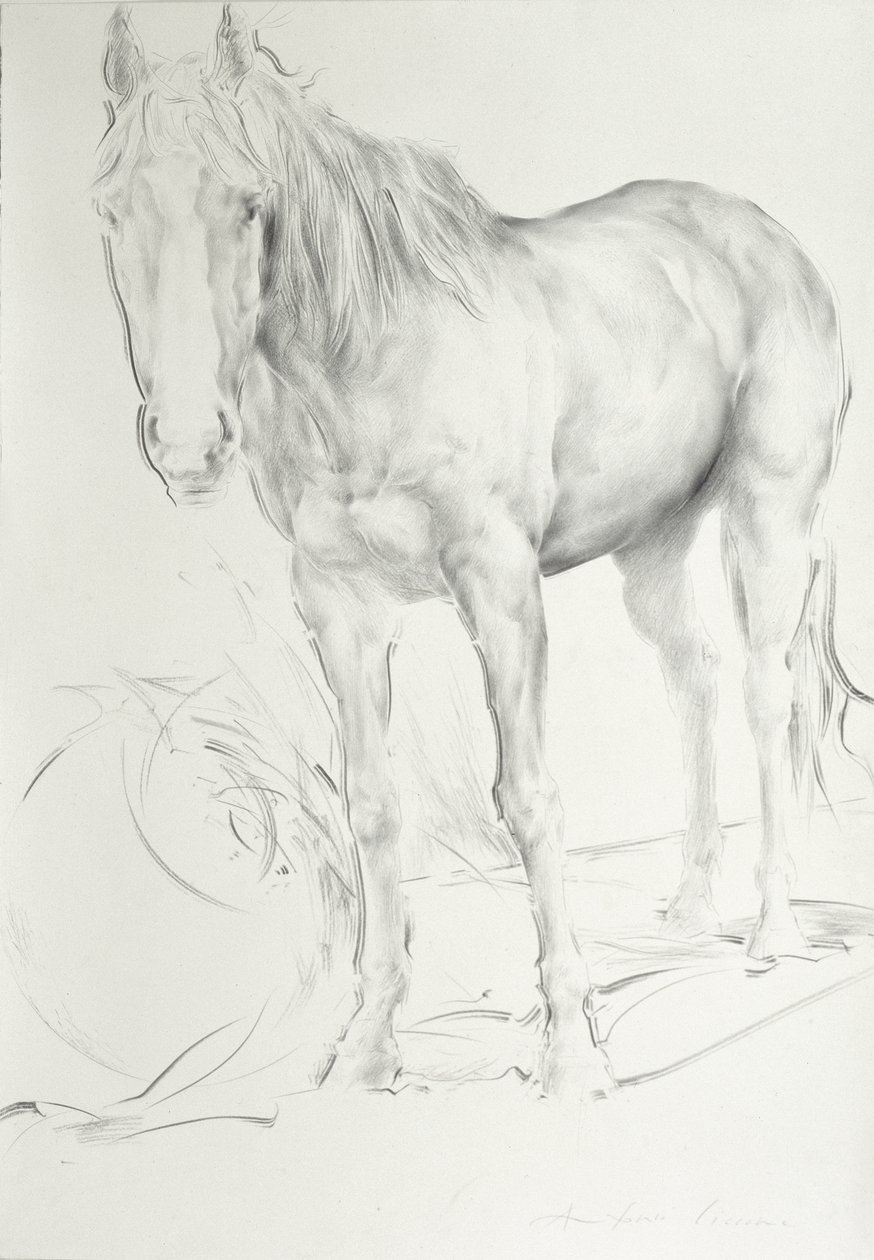 Cheval à Coolmore, 1990 - Antonio Ciccone