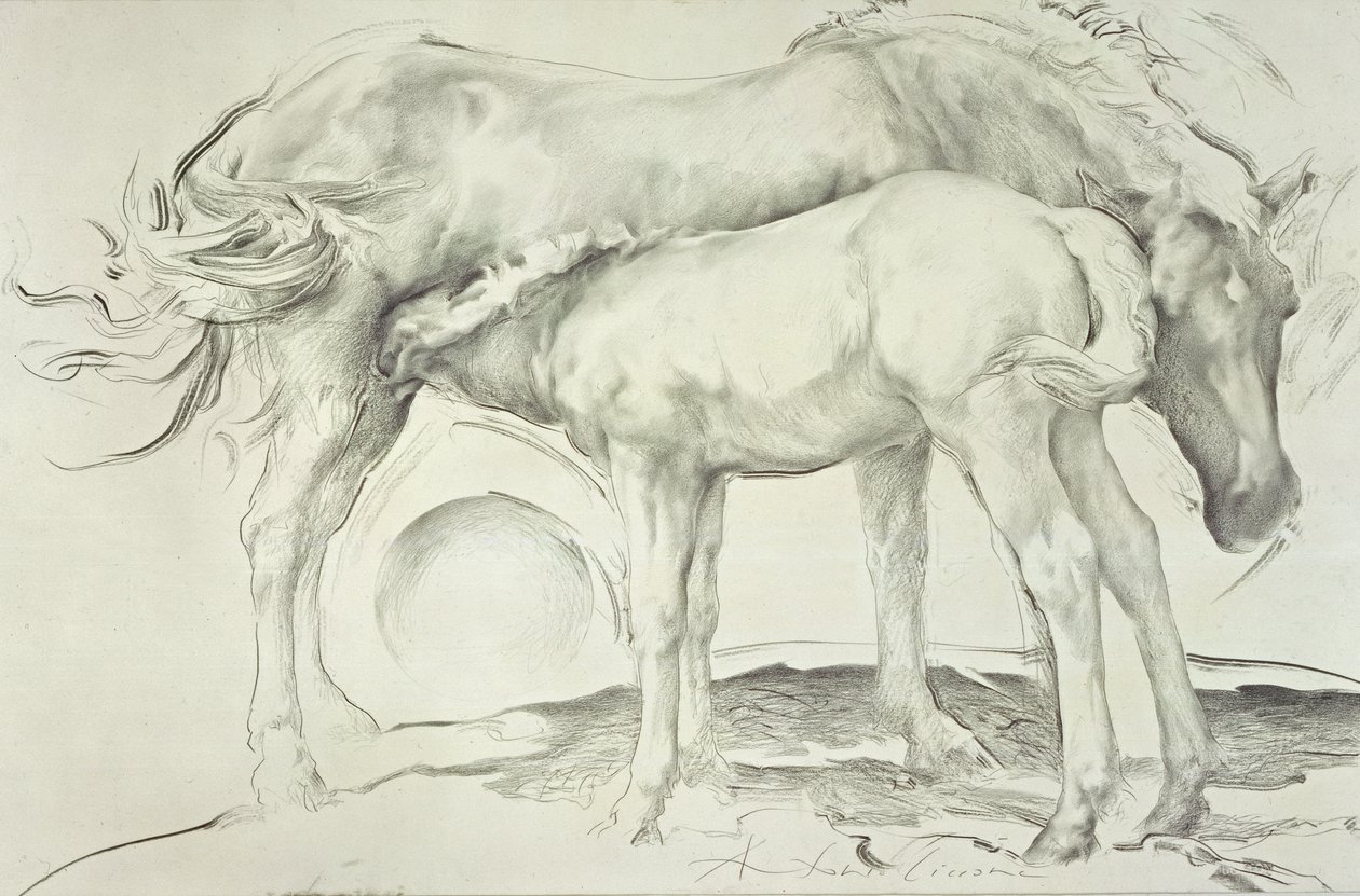 Chevaux à Coolmore, 1990 - Antonio Ciccone
