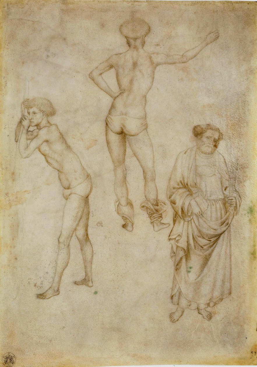 Figures masculines et saint Pierre - Antonio Pisanello