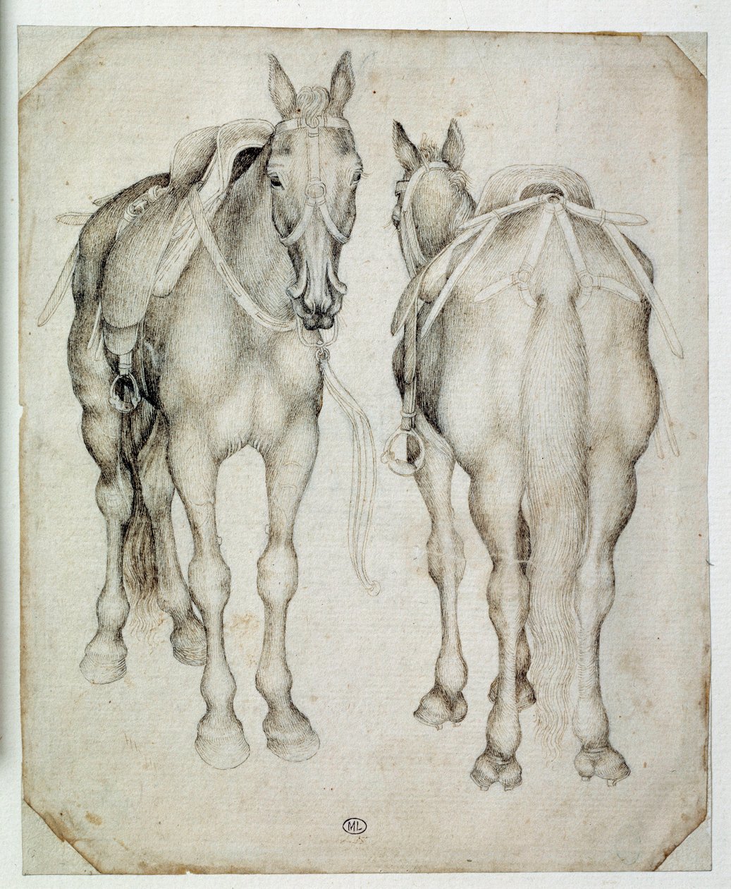 Deux harnais, vus de trois quarts, l