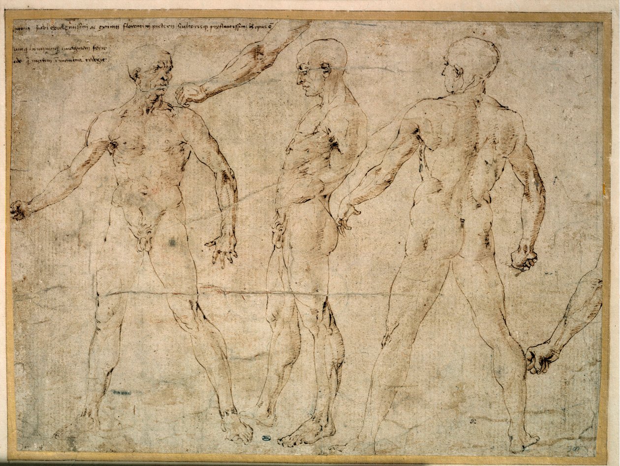 Trois hommes nus. Dessin par Antonio Pollaiuolo - Antonio Pollaiuolo