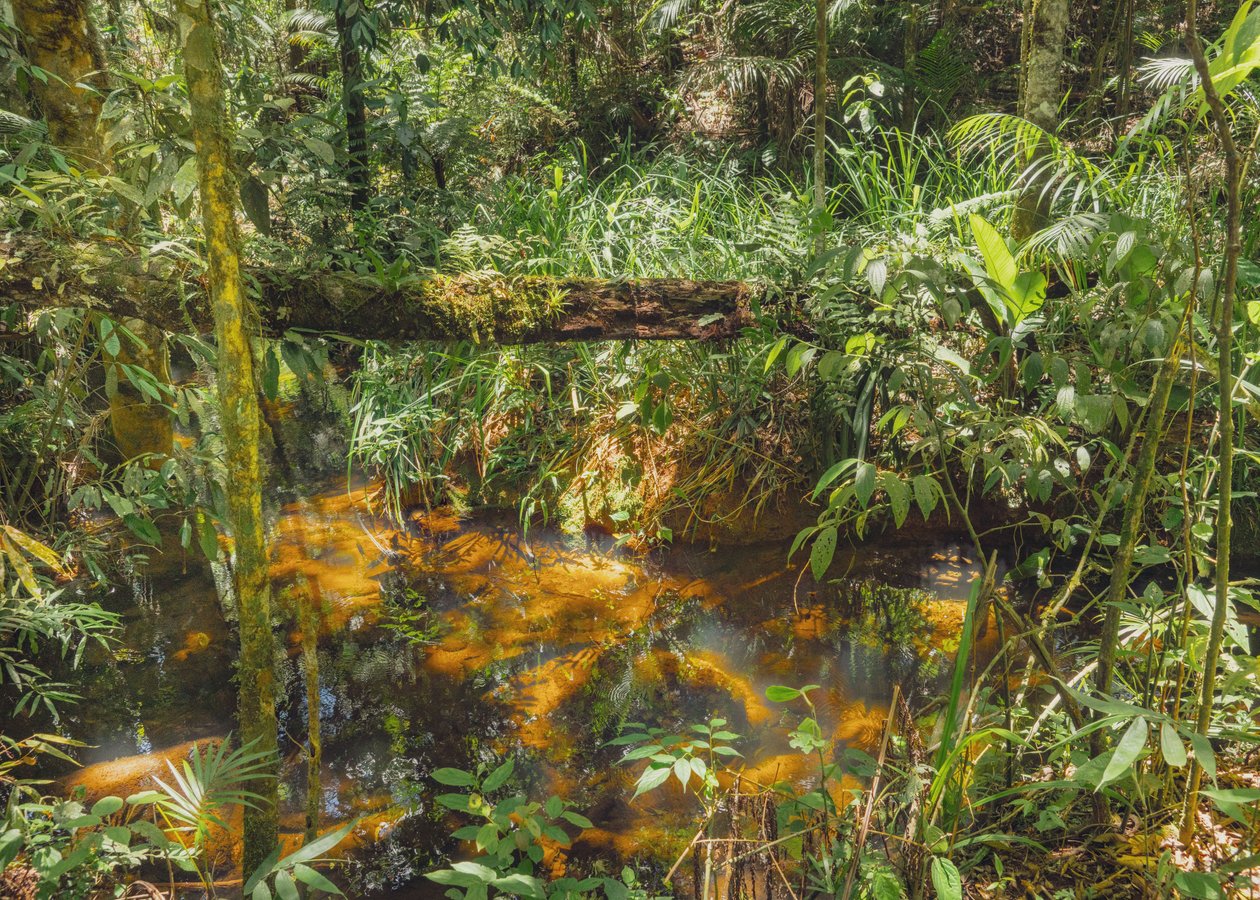 Amantikir, 2021 (photographie numérique) - Antonio Schubert