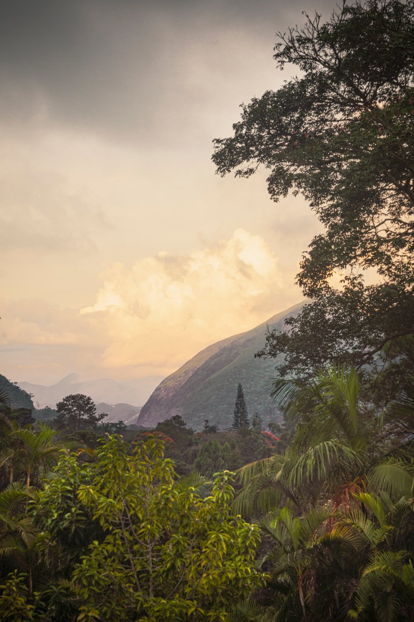 Serra dos Órgãos VIII, Petrópolis, Rio de Janeiro, Brésil, 2025 (photographie) - Antonio Schubert
