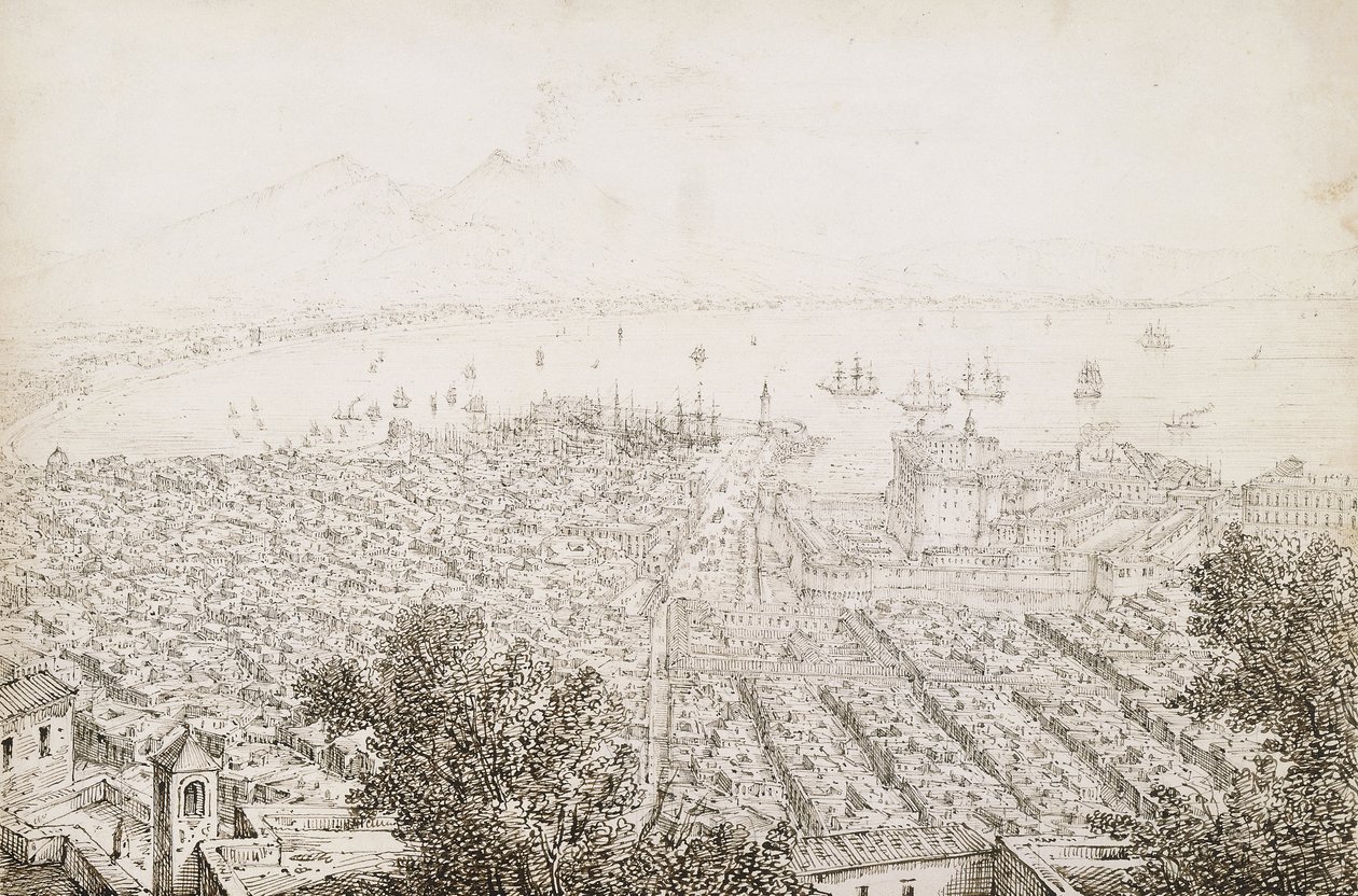 Vue panoramique de Naples - Antonio Senape