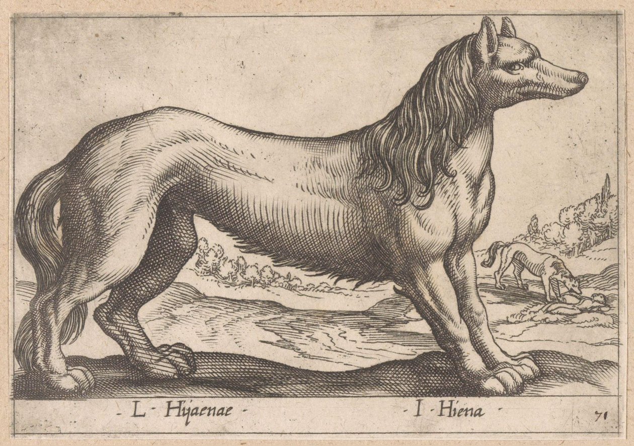 Hyène (série Dieren en fabelwezens, Nova raccolta de li animali piu curiosi del mondo) - Antonio Tempesta