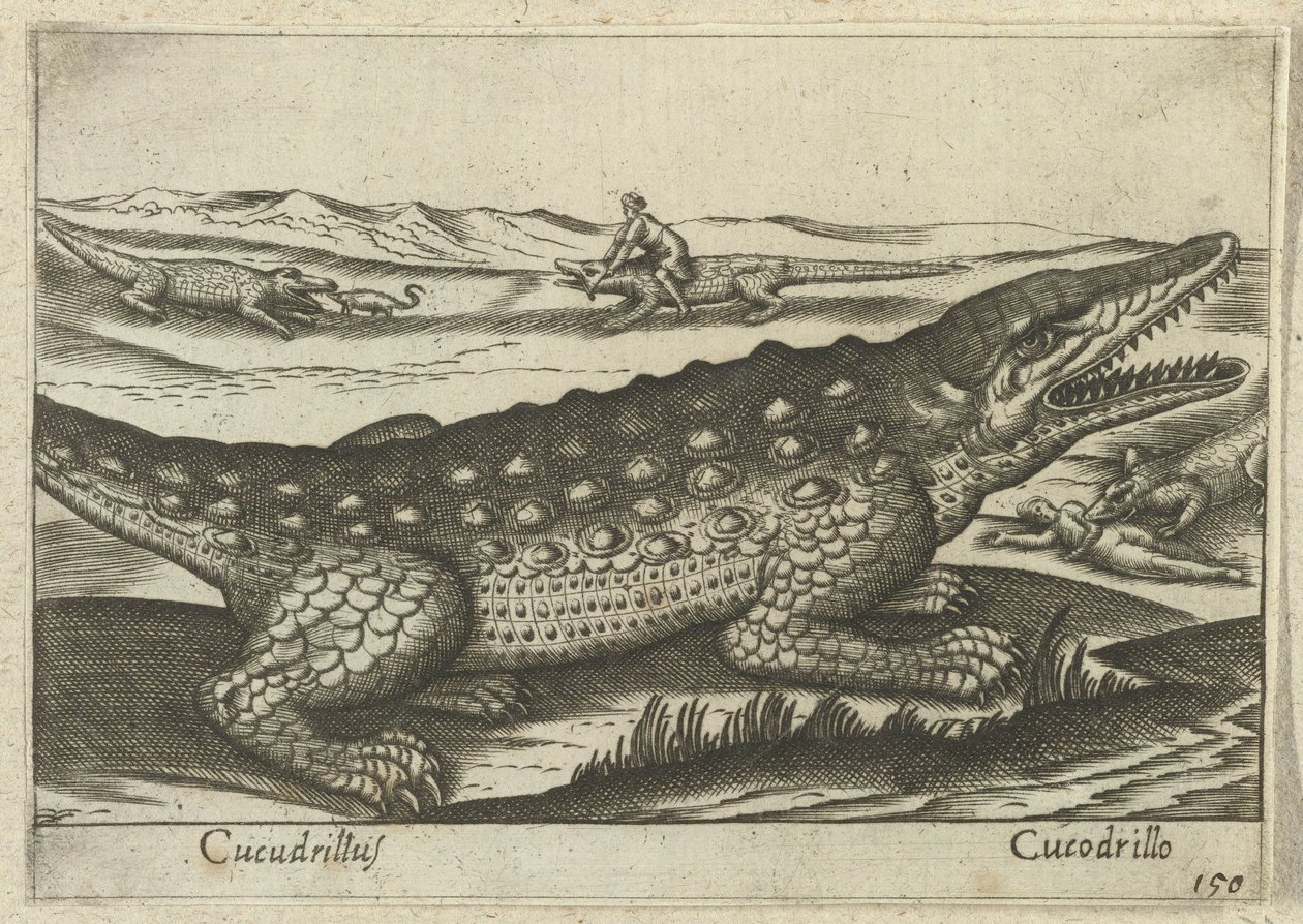 Crocodile - Antonio Tempesta