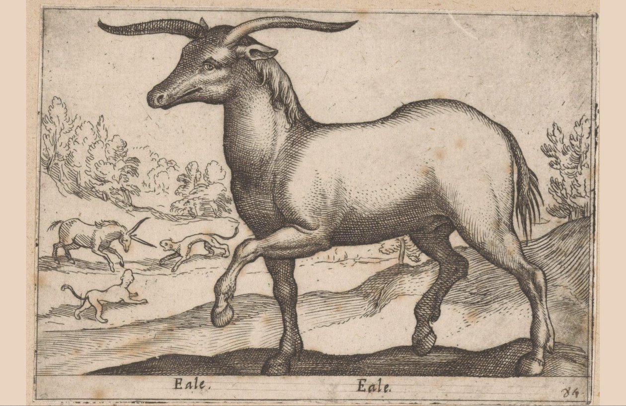 Cheval avec des cornes - Antonio Tempesta