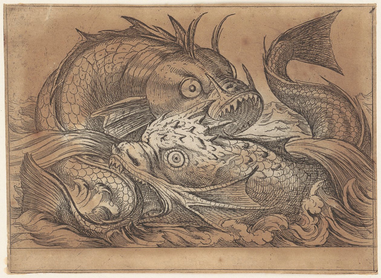 Deux poissons combattants - Antonio Tempesta
