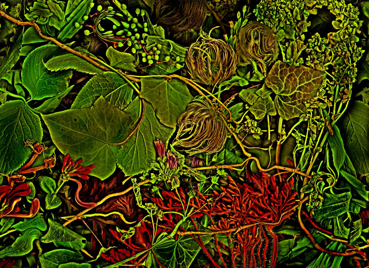 Anderswelt - le champ, 2025 (photo) - Antonius Antonius