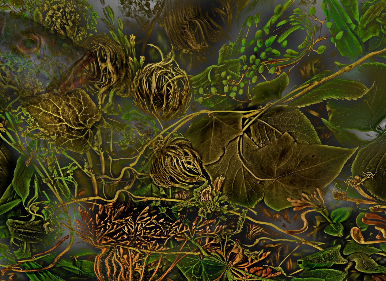 Anderswelt no.7, 2014 (photo) - Antonius Antonius