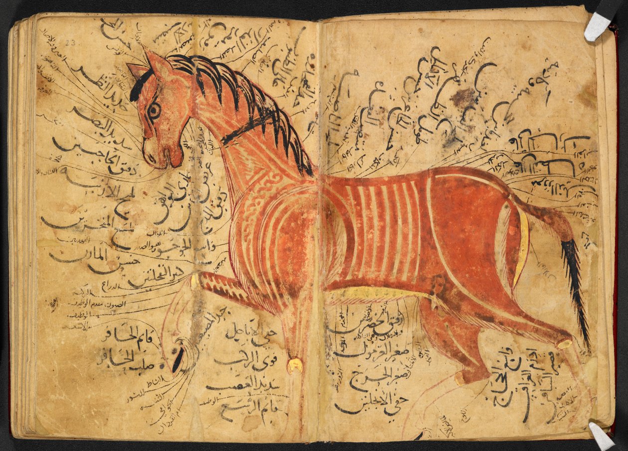Cheval, de 