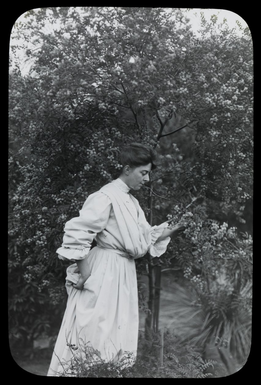 Amy Campbell avec Wattle - Archibald James Campbell