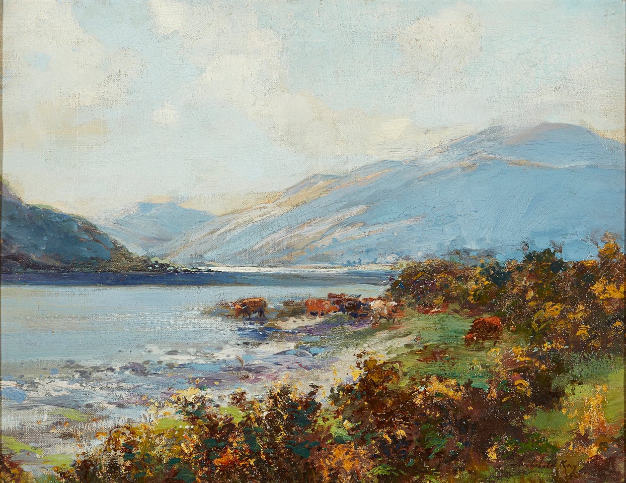 Scène des Highlands avec bétail s