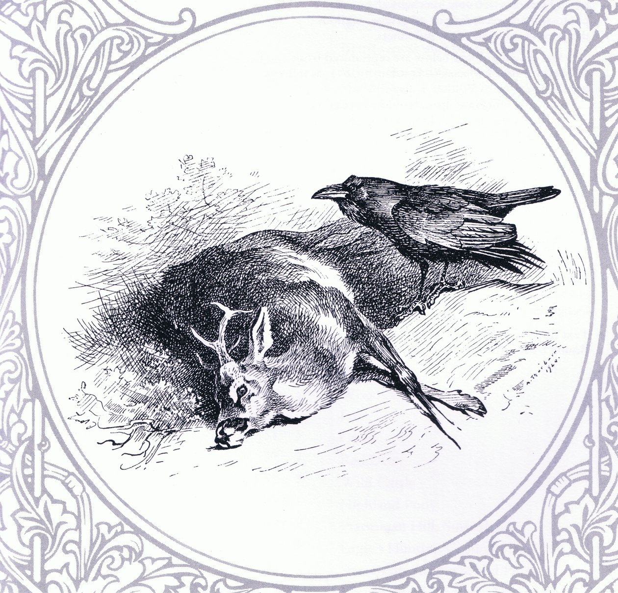 Cerf et corbeau, pub. par Book Club Associates - Archibald Thorburn
