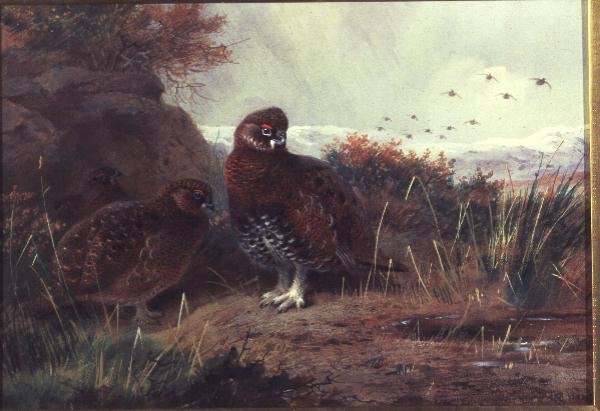 Grouse dans un Paysage Hivernal - Archibald Thorburn