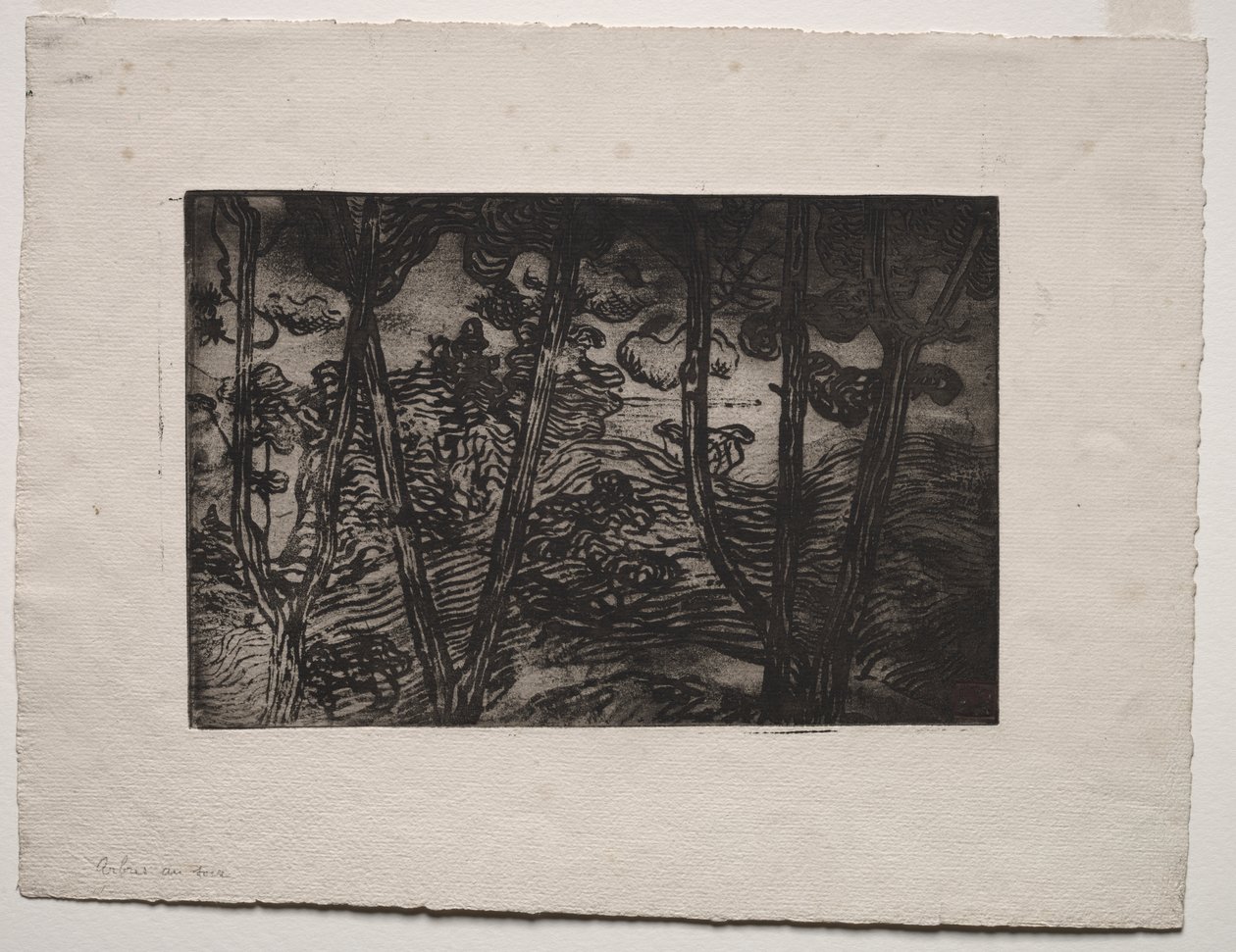 Arbres la nuit - Armand Séguin