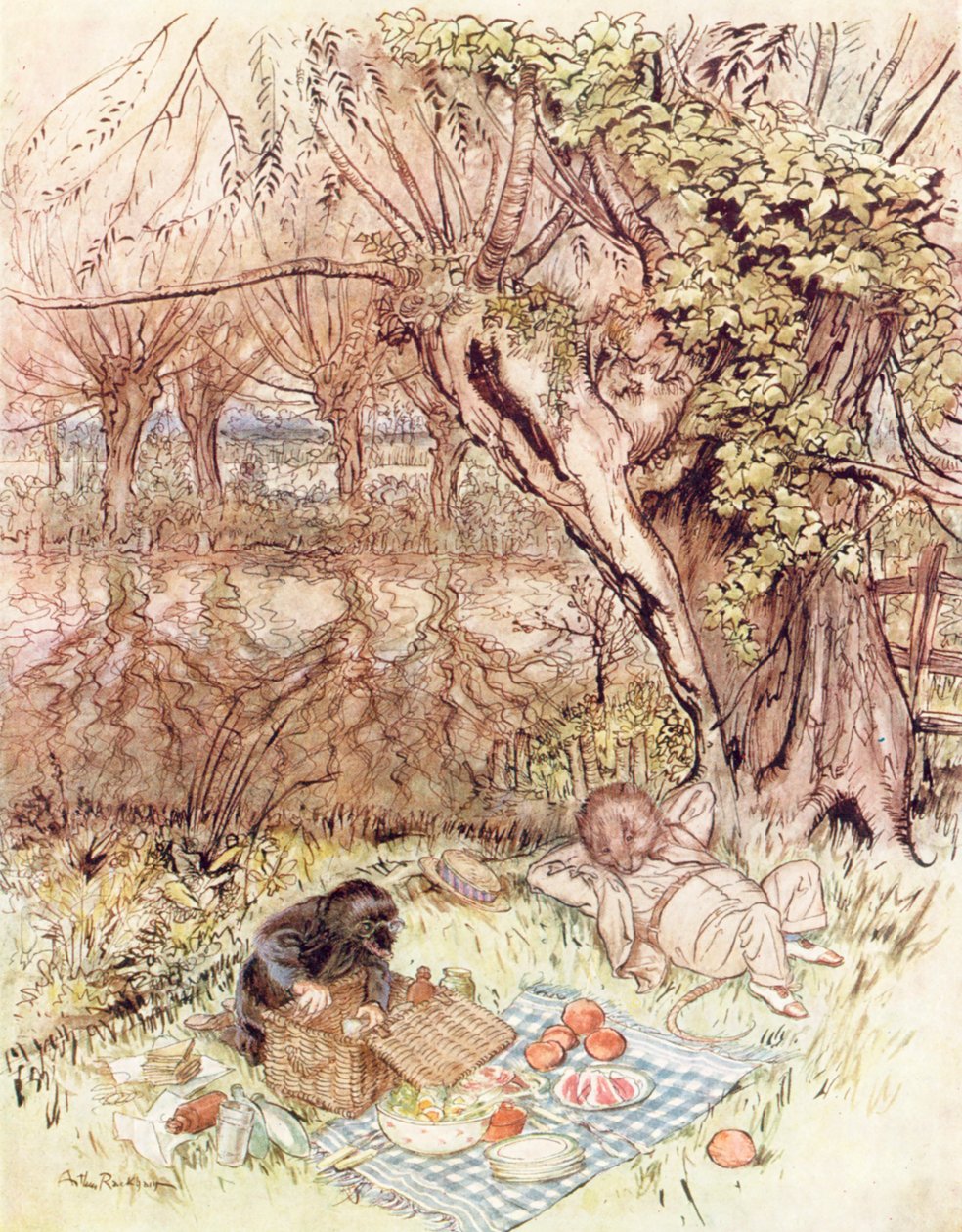 Illustration pour Le vent dans les saules de Kenneth Grahame (lithographie couleur) - Arthur (after) Rackham