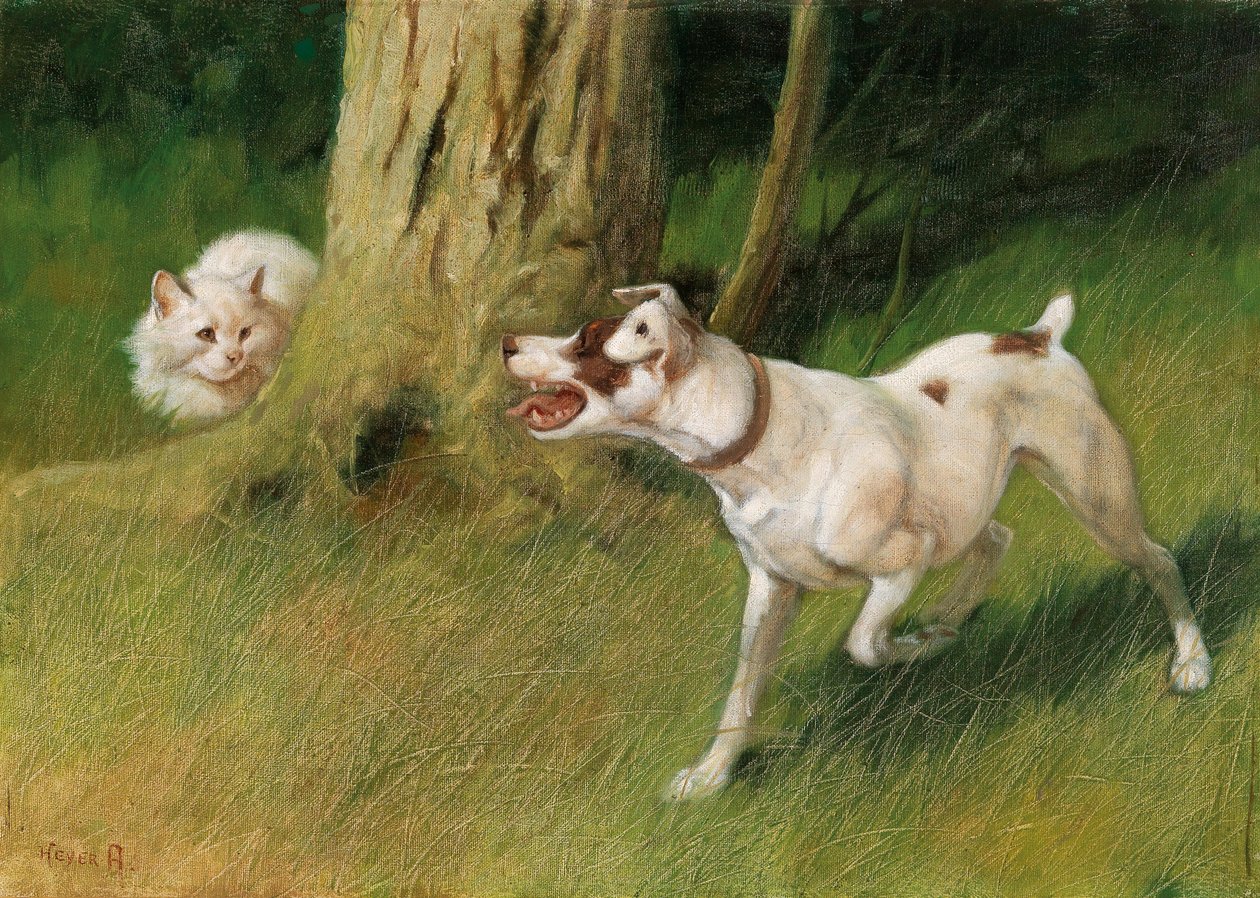 Chien et chat - Arthur Heyer
