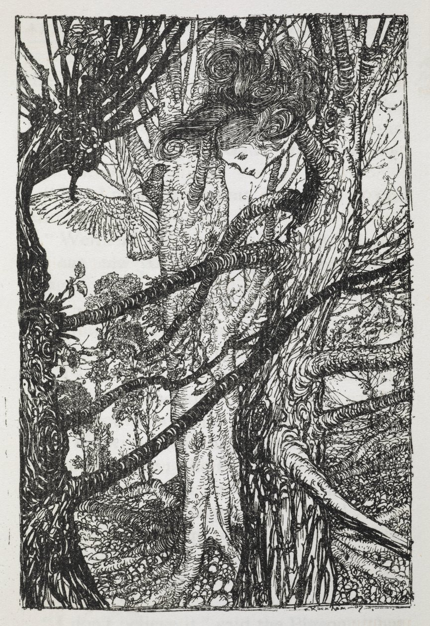 Alice en serpent parlant à un pigeon - Arthur Rackham