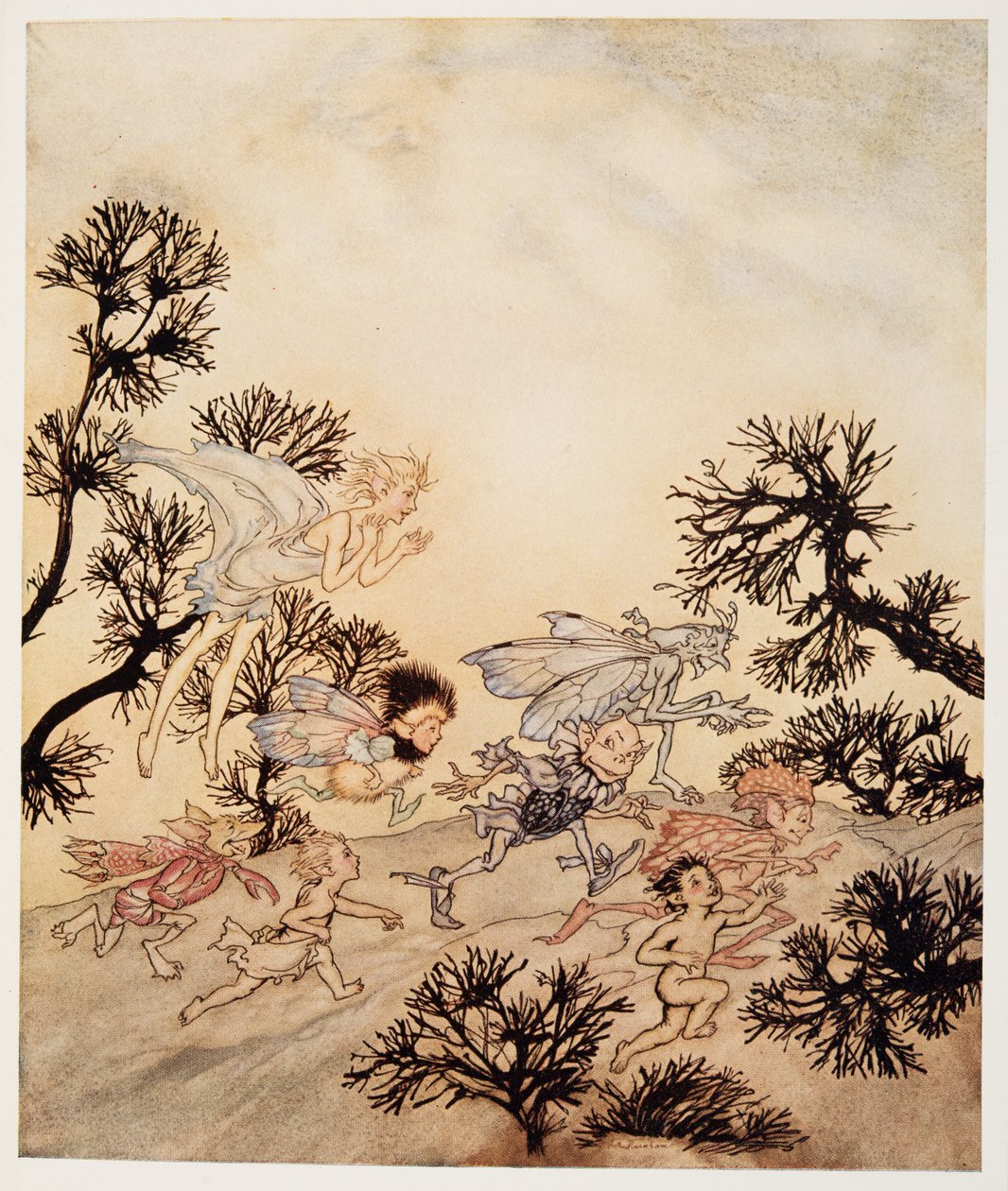 Go charge my goblins that they grind their joints with dry convulsions, illustration de La Tempête de William Shakespeare, pub. 1926 - Arthur Rackham