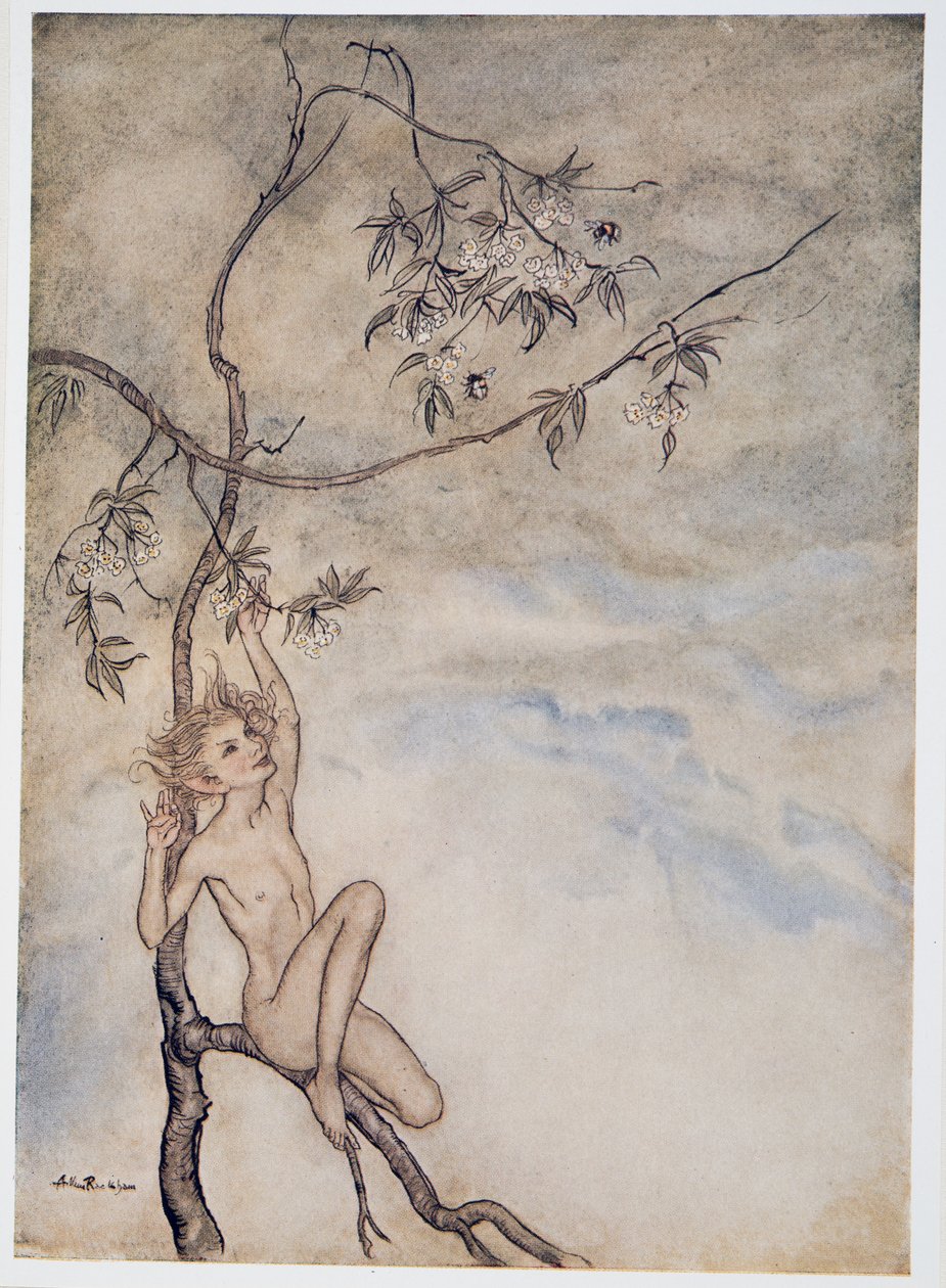 Merrily, merrily shall I live now under the blossom that hangs on the bough, illustration de La Tempête de William Shakespeare, pub. 1926 - Arthur Rackham