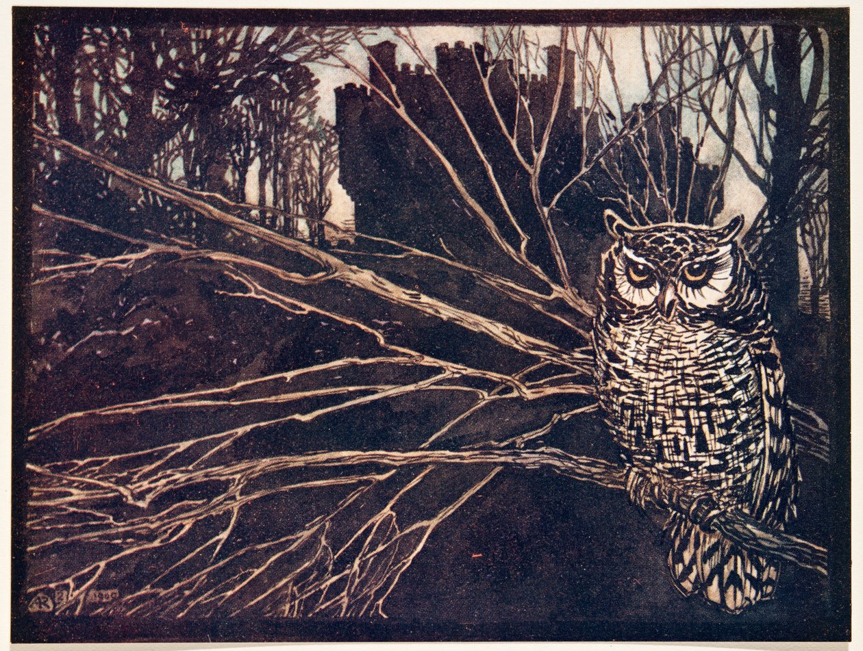 Ou un hibou hurleur, des Contes de fées des frères Grimm, pub. 1909 - Arthur Rackham