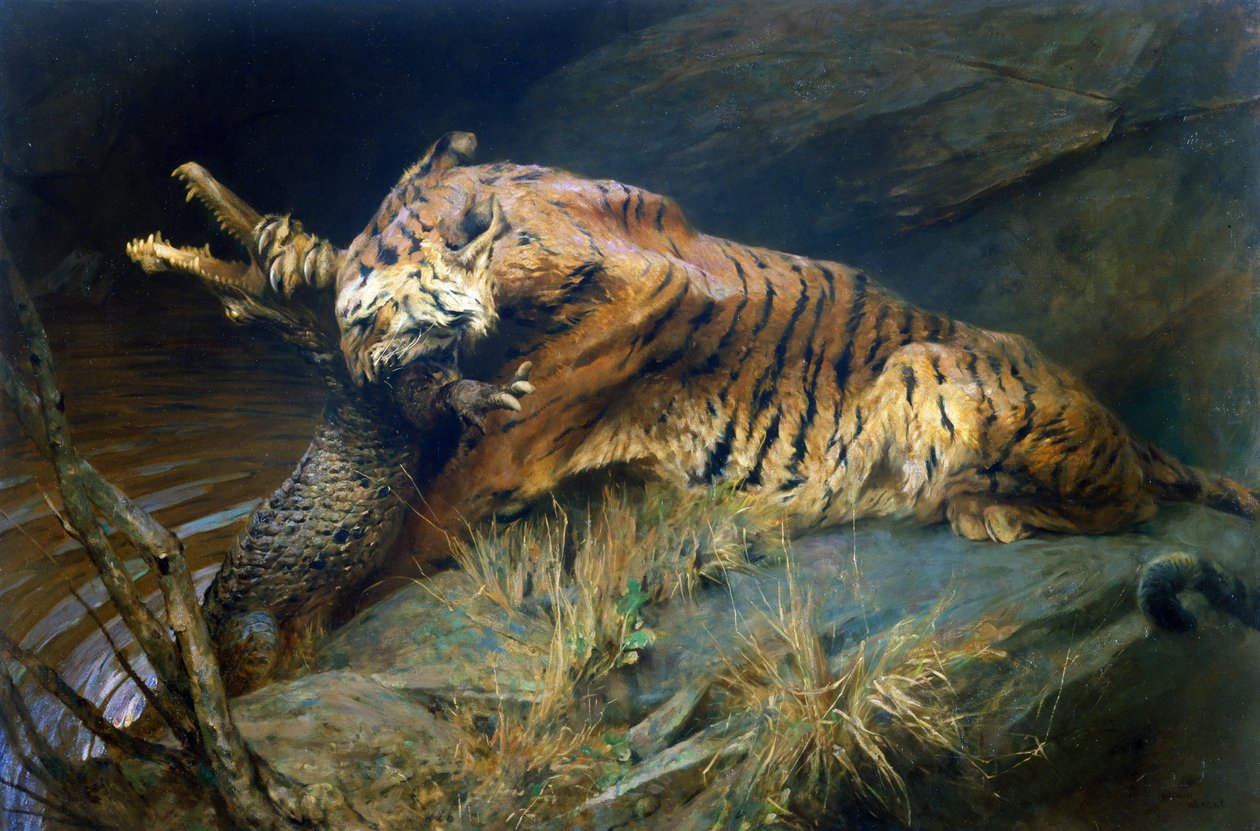 Tigre et crocodile - Arthur Wardle
