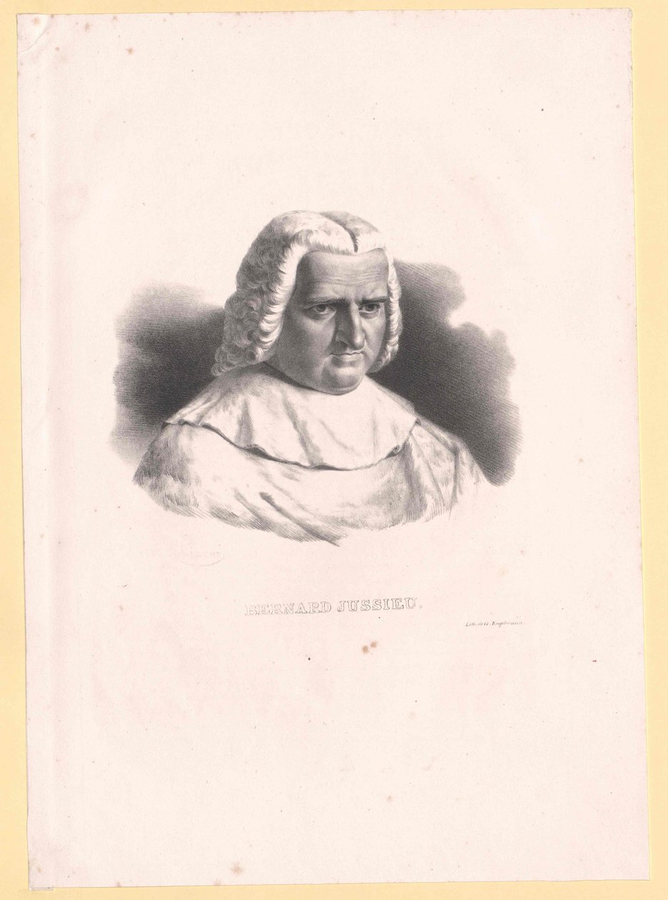 Bernard de Jussieu - Artist Unknown