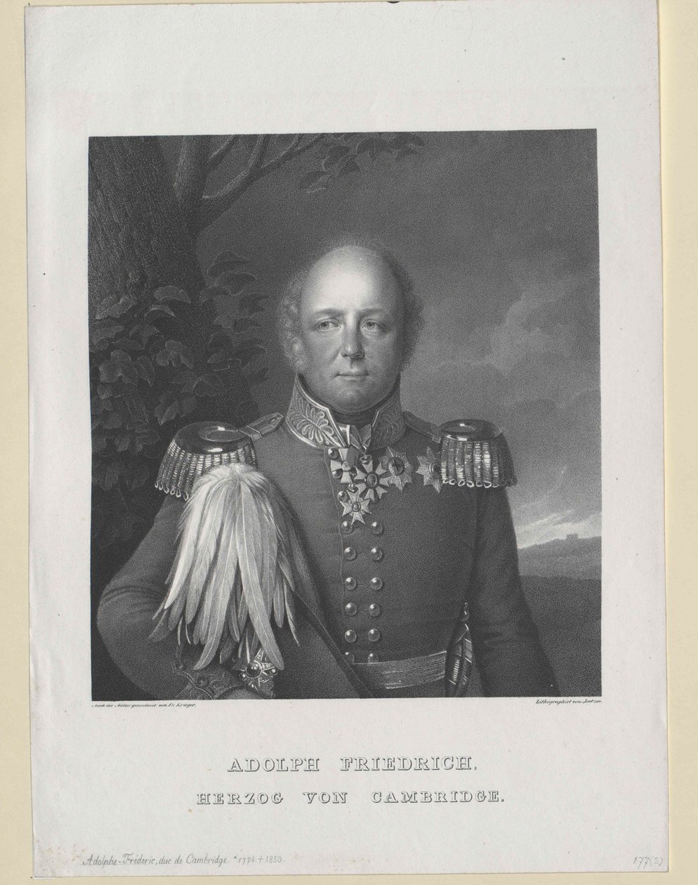 Duc de Cambridge Adolf Friedrich - Artist Unknown