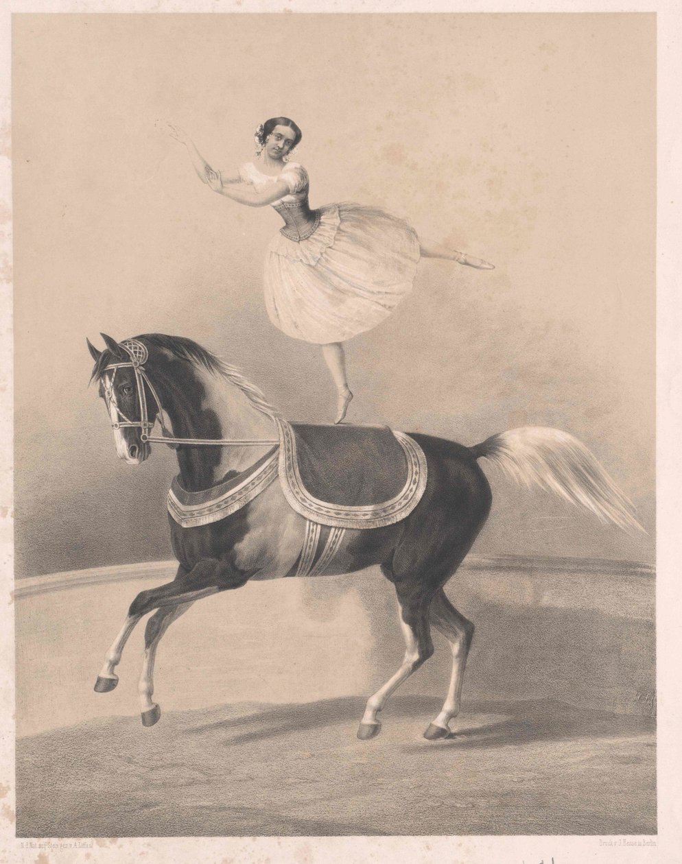 Louise Loisset - Artist Unknown