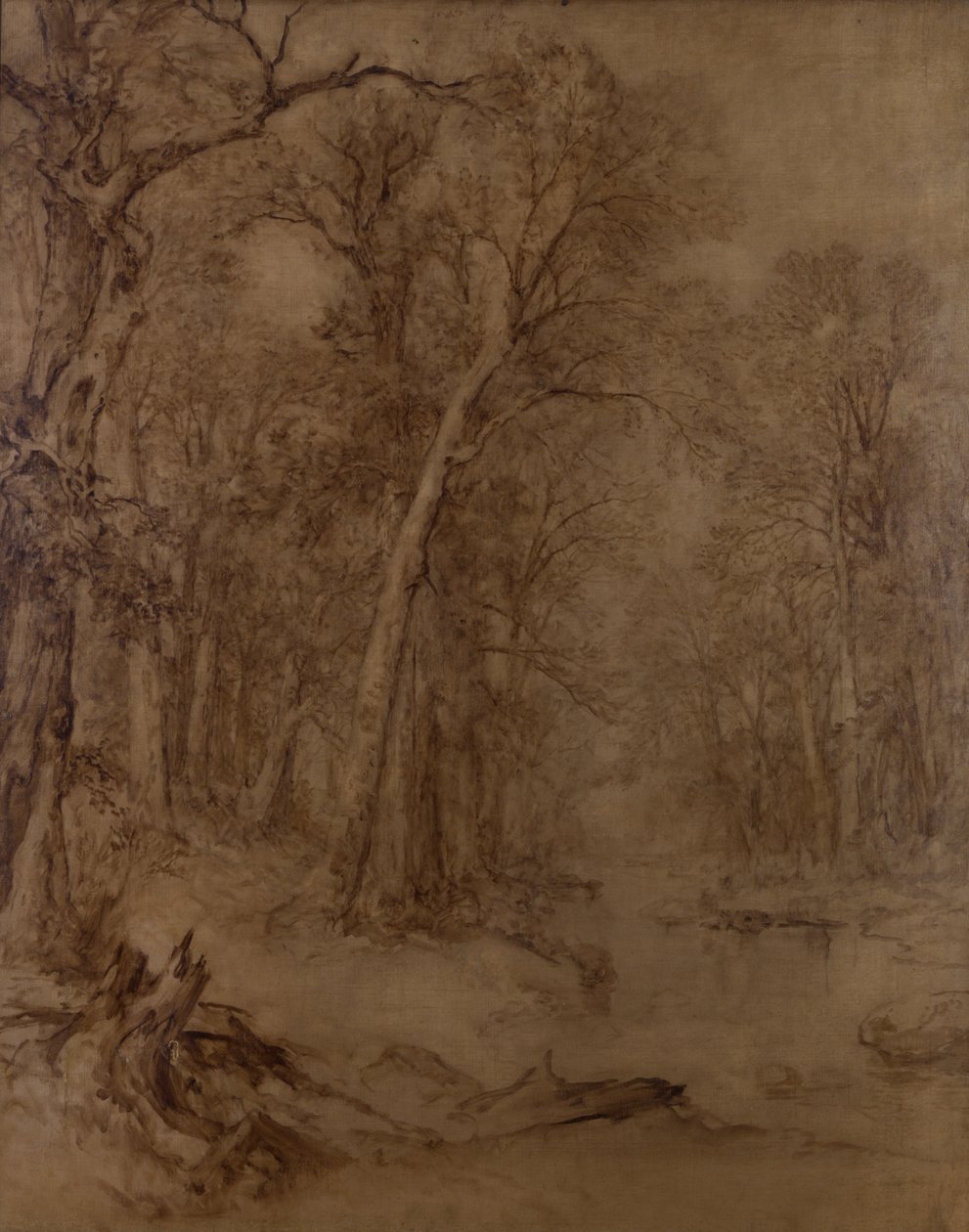 Ruisseau forestier, étude préliminaire, 1859 - Asher Brown Durand