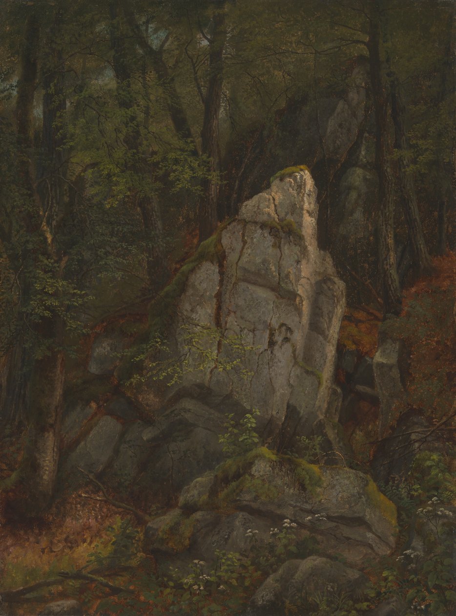 Étude des roches dans le ravin de Pearson - Asher Brown Durand