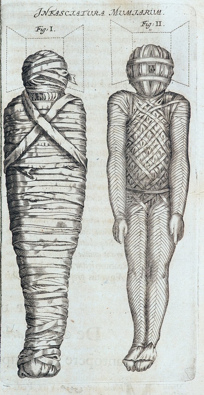 Momies - dans "Sphynx mystagoga" par Athanase Kircher - Athanasius Kircher