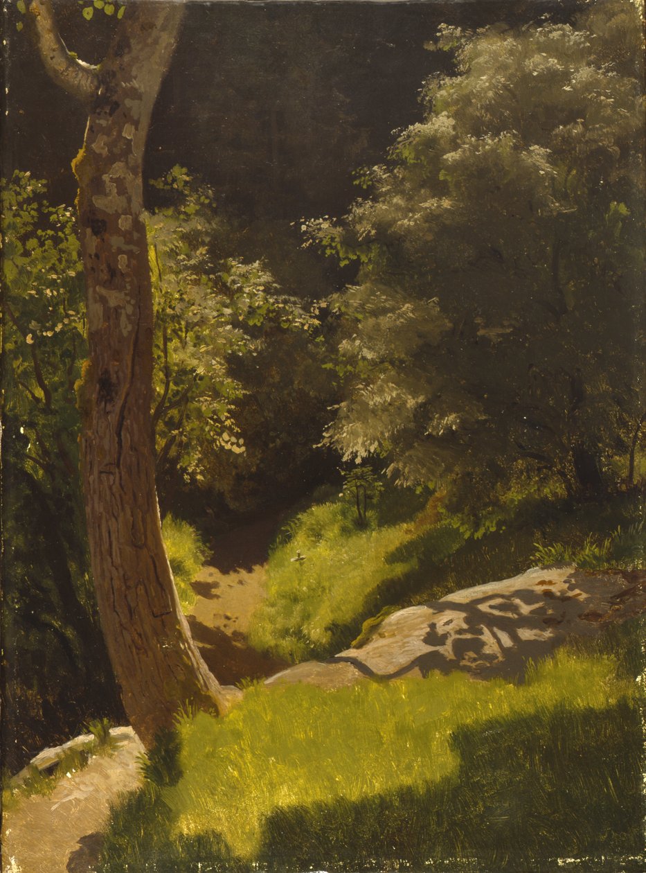 Paysage de parc avec chemin de jardin - August Cappelen