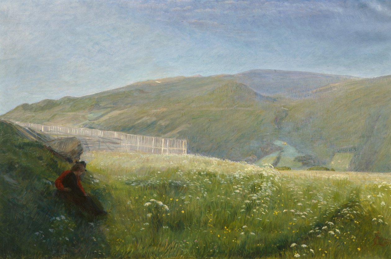 Paysage d