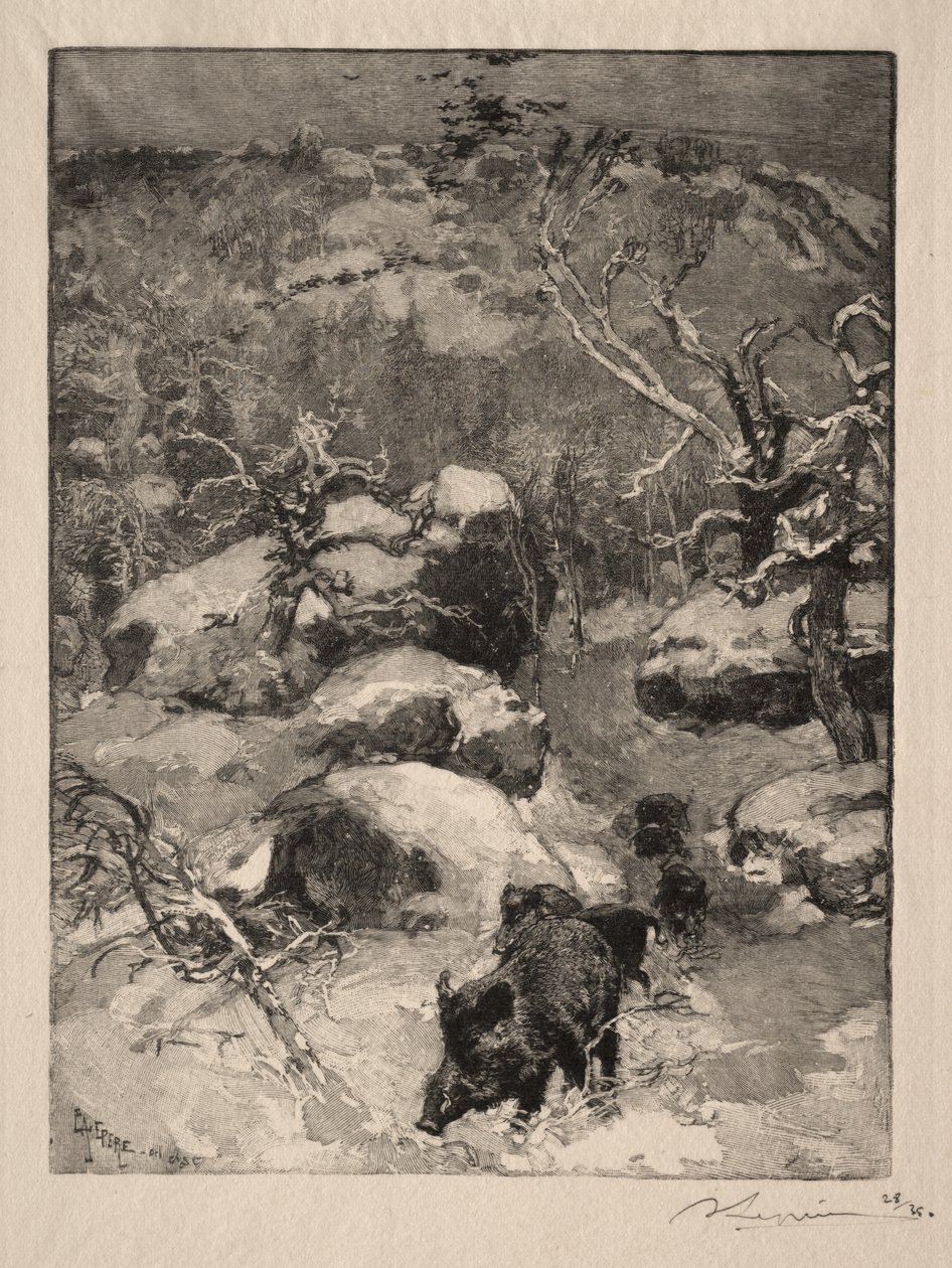 Roche Cuvier Chatillon - Auguste Louis Lepère