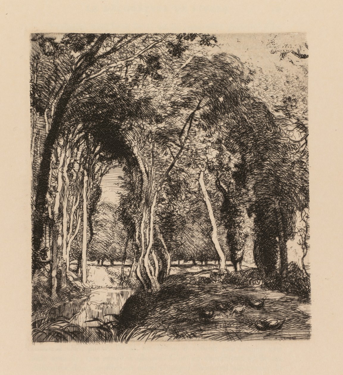 Auguste Lepère: Sous bois, à la Rigonette Vendée - Auguste Louis Lepère