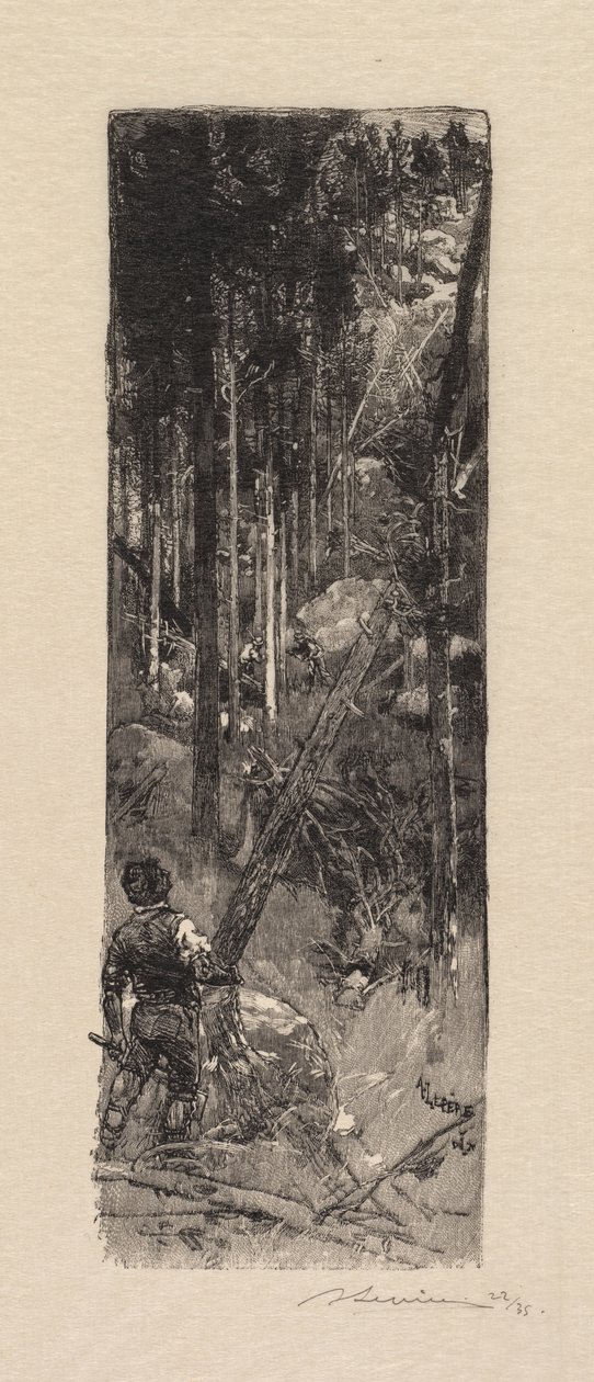 Forêt de Fontainebleau: Abattage des pins - Auguste Louis Lepère