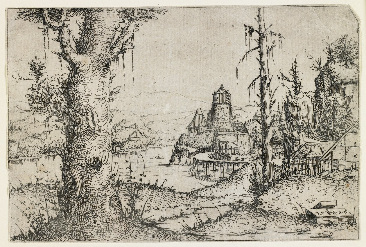 Grand arbre et château sur un lac - Augustin Hirschvogel