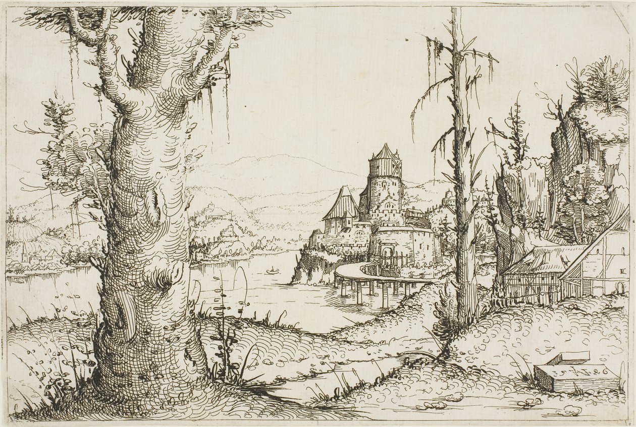 Paysage fluvial avec grand arbre au premier plan - Augustin Hirschvogel