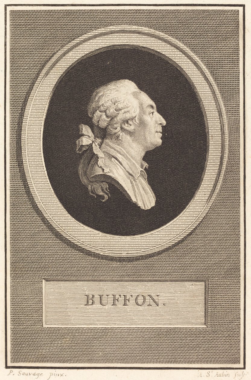 Buffon - Augustin de Saint Aubin after Piat Joseph Sauvage