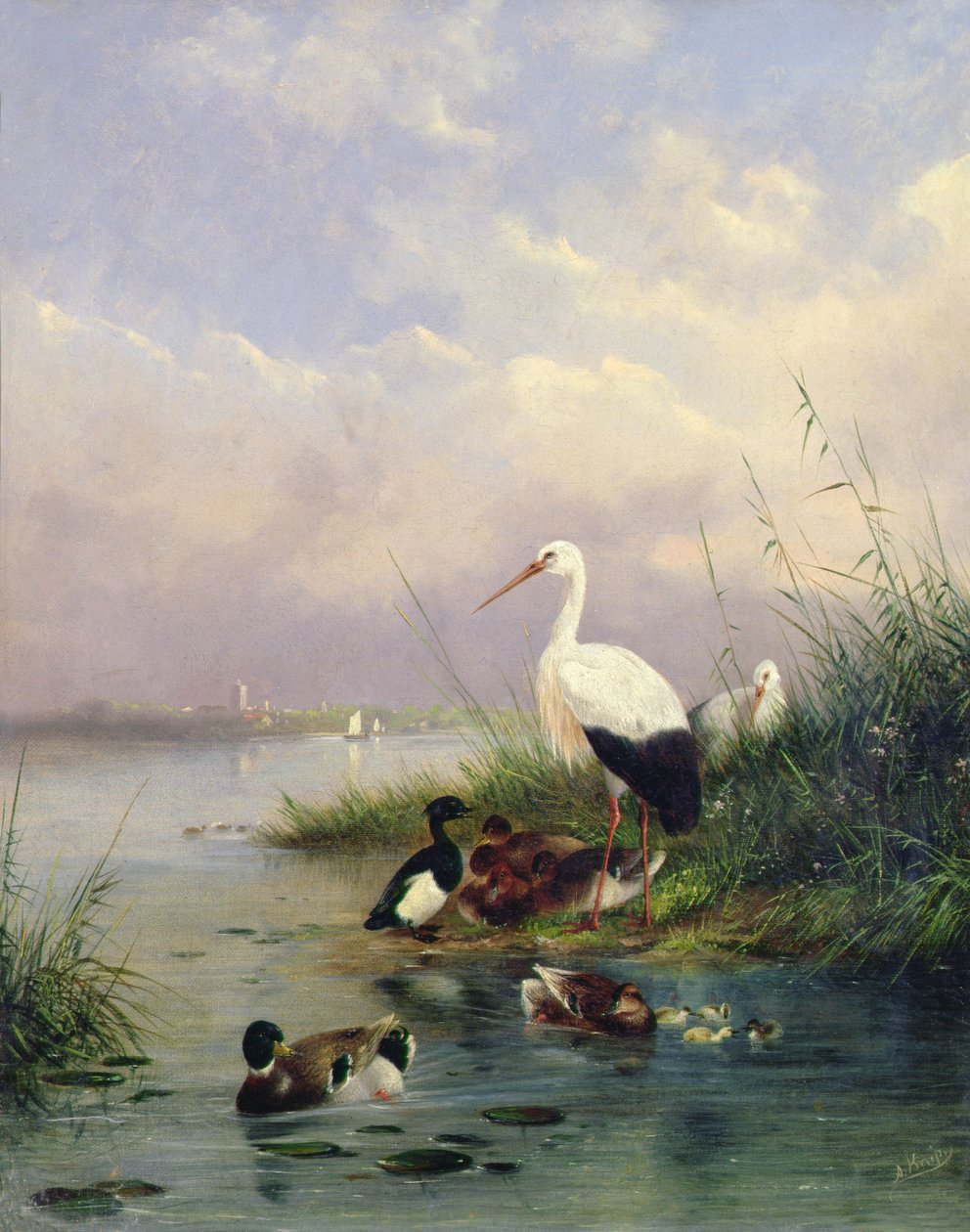 Une famille de colverts, deux cigognes et une famille de canards huppés - Augustus Knip