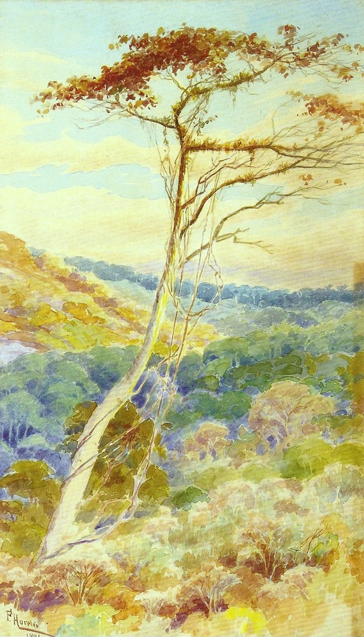 Paysage - Aurelio de Figueiredo