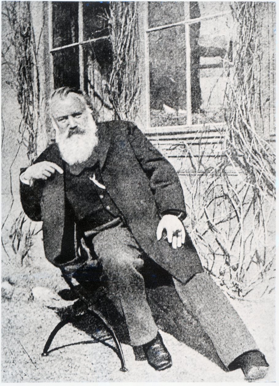 Johannes Brahms, c.1897 - Austrian Photographer